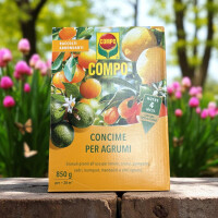 COMPO Langzeitdünger für Zitrusfrüchte, gebrauchsfertiges Granulat 850 g