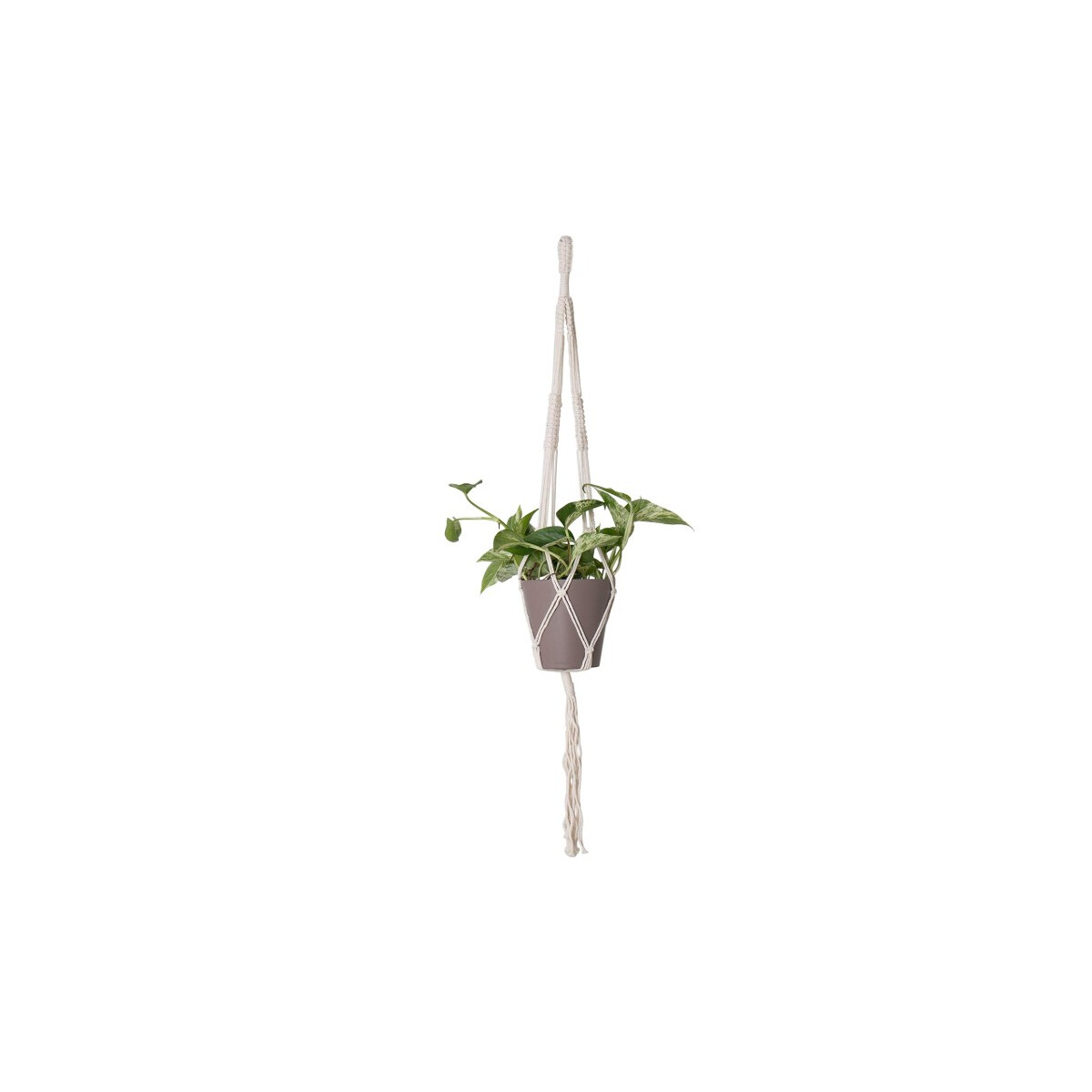 MAKRAMEE Blumenampel 1-fach Halter Single Weiß 100 cm