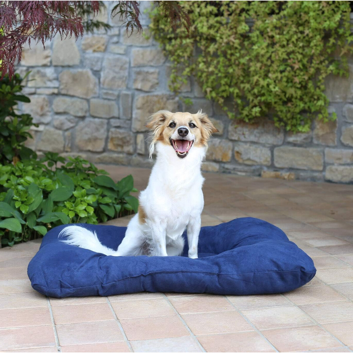 Italian Bed Hundebett Hundekissen 4er Set blau 54x41cm