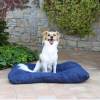 Italian Bed Hundebett Hundekissen 4er Set blau 54x41cm