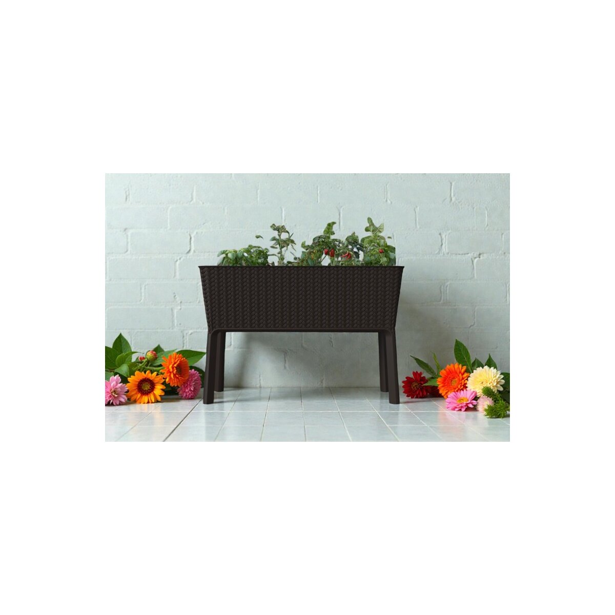 Keter Blumenkasten Splendor Braun 114 x 49,3 x 75,7 cm, 89,99