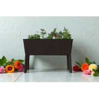 Keter  Blumenkasten Splendor Braun 114 x 49,3 x 75,7 cm