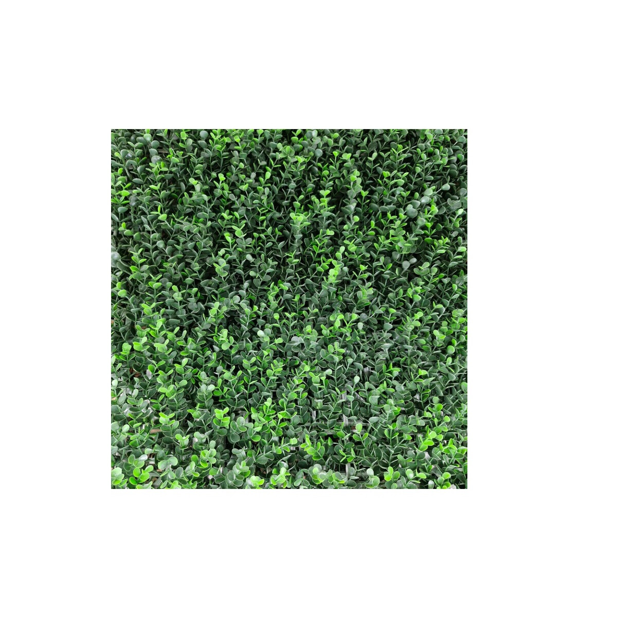 Panel Buxus Intense 0,5x1 m Grün, Synthetische Hecke mi