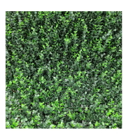 Panel Buxus Intense 0,5x1 m Grün, Synthetische Hecke mit Buchsbaumblättern Gartenwanddekoration