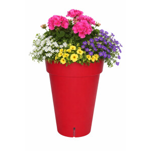 Pflanztopf Rot 65 cm