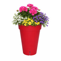 Pflanztopf Rot 65 cm