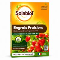 SOLABIOL Erdbeer- & Beerendünger 750 g NPK 3-2-5 mit MgO