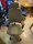 Steelcase Leap Ergonomischer, höhenverstellbarer Büro- und Gaming-Drehstuhl, verstellbare Lordosenstütze, verstellbare Armlehnen, komfortable Polsterung, Stoffbezug (Farbe Trüffel) + Kopfstütze