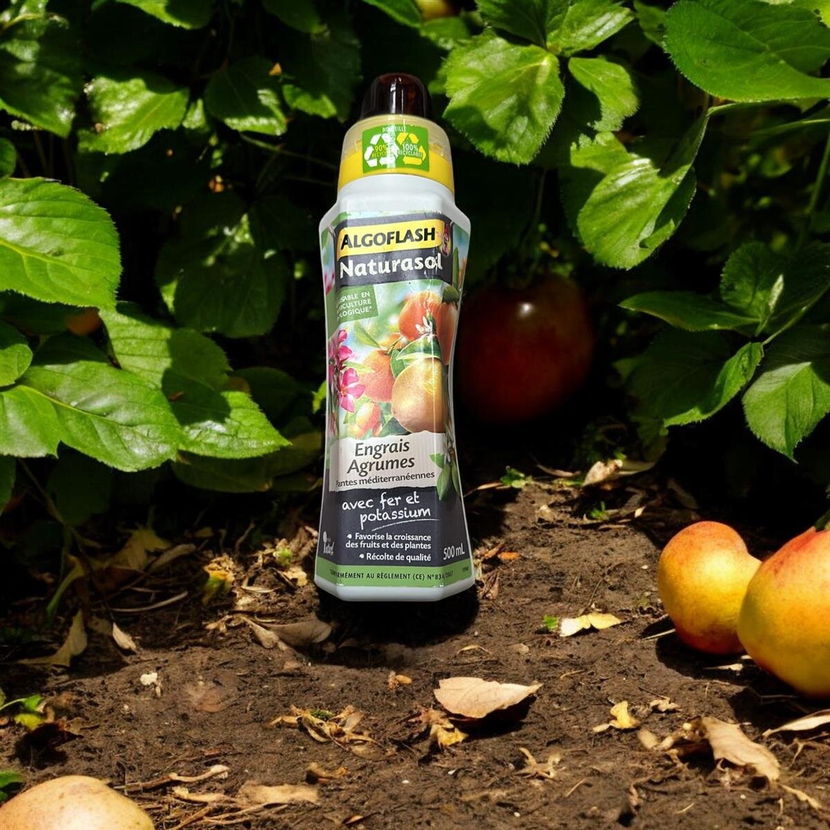 Algoflash Flssigdnger fr Zitrus- und Mittelmeerpflanzen 500 ml, 9,99