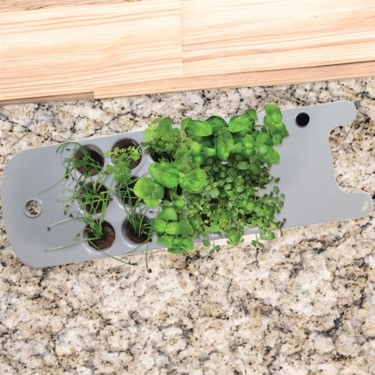 AeroGarden Seed Starting System – 15‑Pod Anzuchtset
